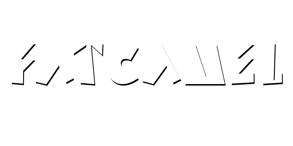 Fat Camel Company